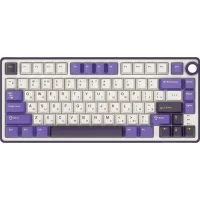 Клавиатура Royal Kludge R75 RGB Blackberry (RK Silver) фото 1